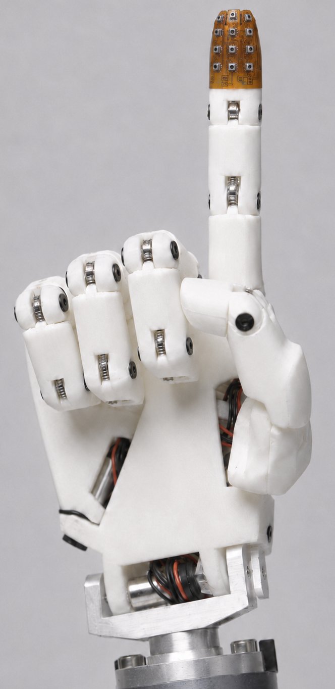 Tactile fingertip on human hand